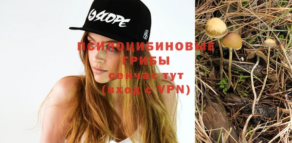 спиды Надым