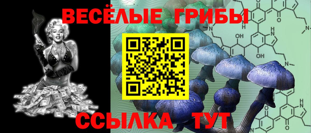 Отрадный  Псилоцибиновые грибы Psilocybine cubensis  Галлюциногенные грибы мицелий  Вход с VPN 