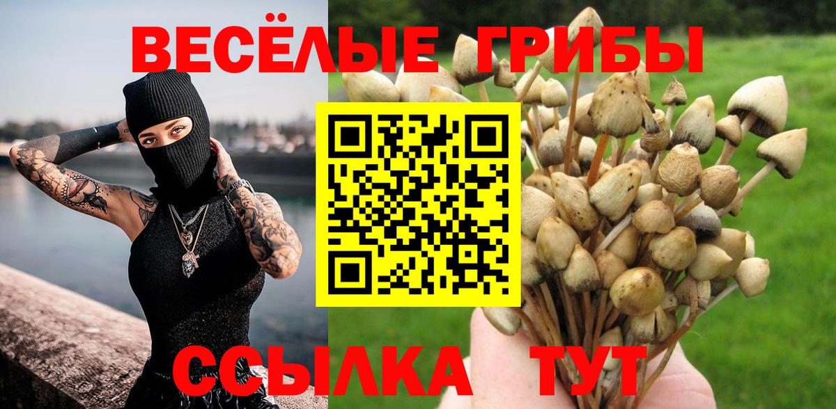 Псилоцибиновые грибы прущие грибы Отрадный